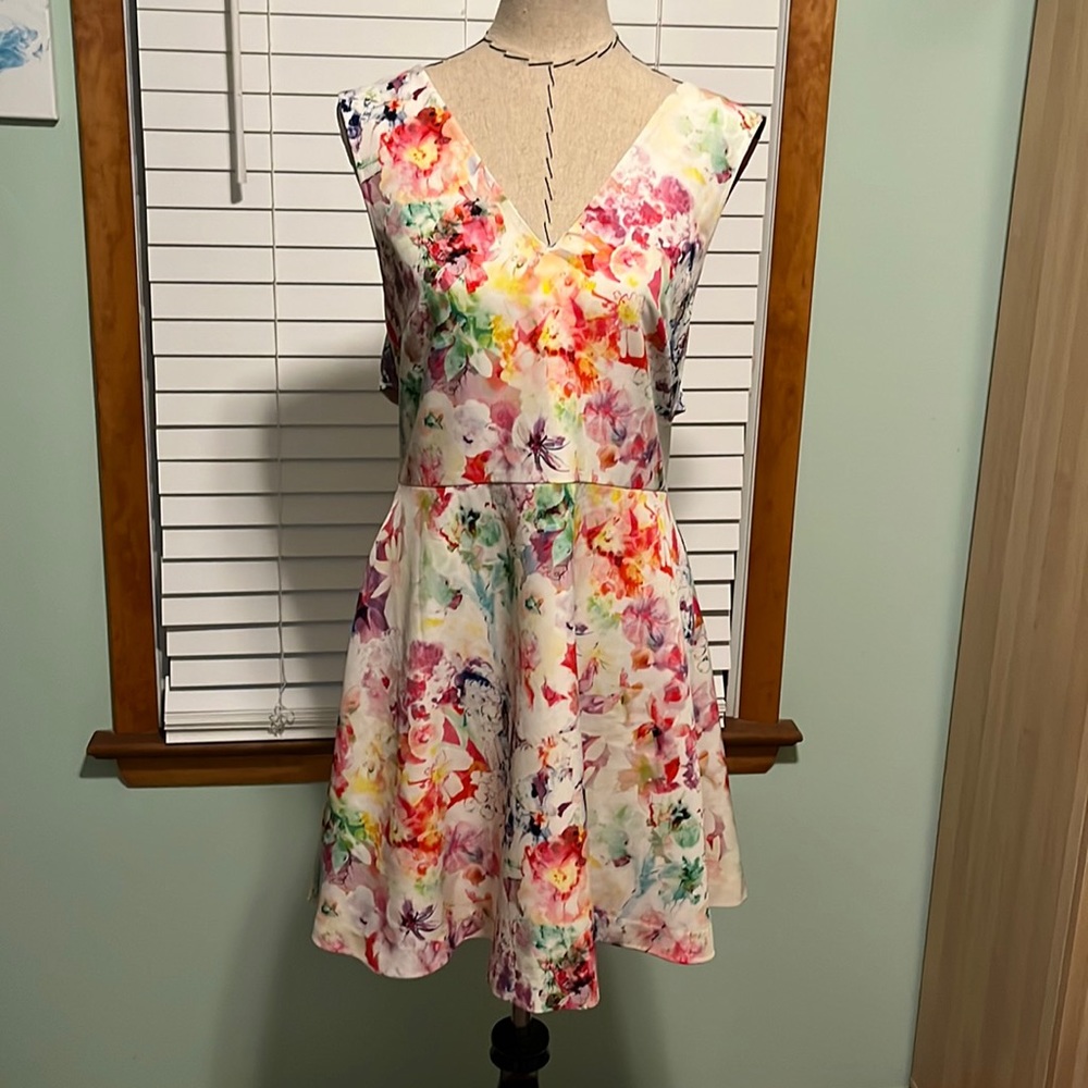 Anthropologie Fit & Flare /Skater Watercolor Floral Dress Chicory & coco